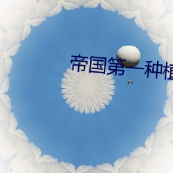 凯时国际·(中国)娱乐官方网站