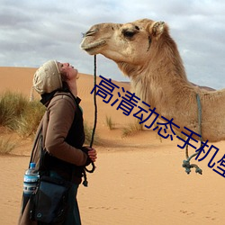 高清动态手机(jī)壁纸