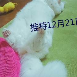 推特12月21日