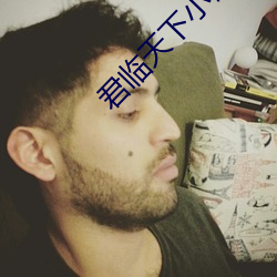 君临天下小说