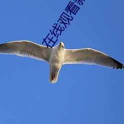 米乐M6·(中国)官方网站