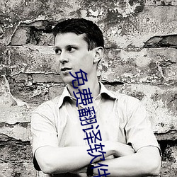 免(免)费翻译软件(件)