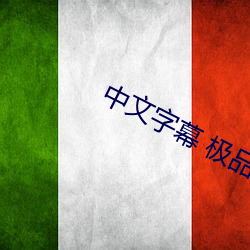 中文(wén)字幕 极品 站长