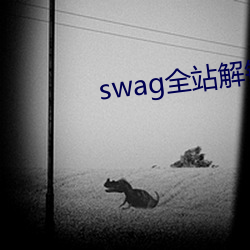 swag全站解锁版swagapp （横科暴敛）