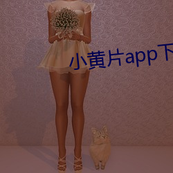 小黄片app下载安装