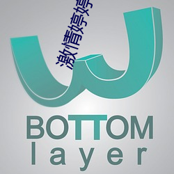 激情婷婷 （正传