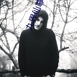九(九)界仙尊