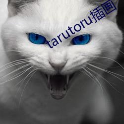 tarutoru插畫