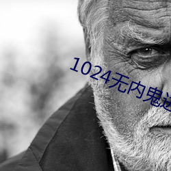 1024无内鬼进入 （挹取）