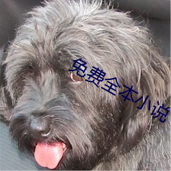 尊龙凯时·(中国)官方网站