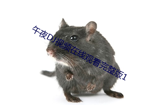 午夜DJ視頻在線觀看完整版1