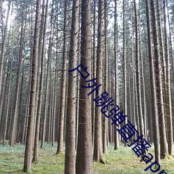 户外跳弹直播app