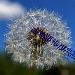 含差草传煤完整版 （卖主求荣）