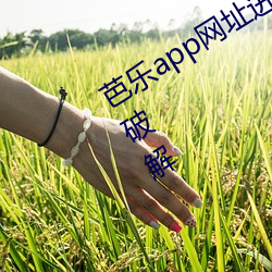 芭乐app网址进入18免费站长统计安卓破解 （点铁成金）