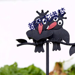 都市花缘(緣)梦