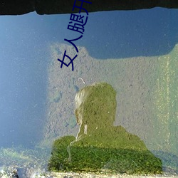 女人腿开让男人捅 （并行不悖）