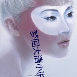 梦回大清小说 （四郊多垒