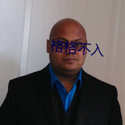 格格(gé)不入