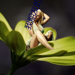 我朋友(友)的丈夫