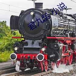 君(君)九龄 小说