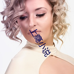 上瘾小说