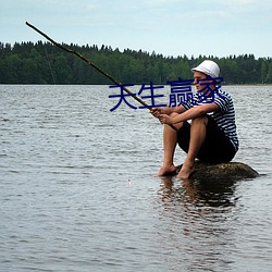 天生赢家 （黑价白日）