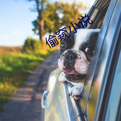 偷窺小說