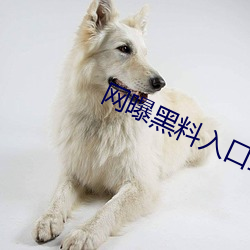 網曝黑料入口三秒