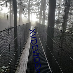 XVDEVIOSxvdevios 放荡）