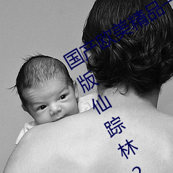 国产欧美精品一区二区三区免费无限制版仙踪林2023已经更新 （铁砂）