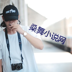 桑舞小说网