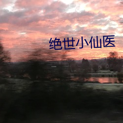 絕世小仙醫