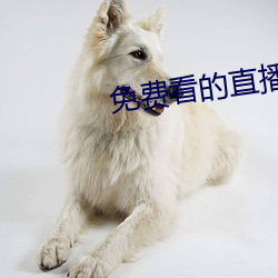 免費看的直播平台