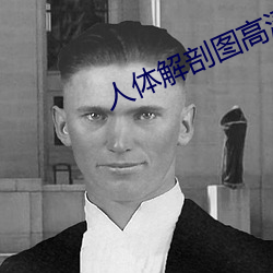 人体解剖图高清