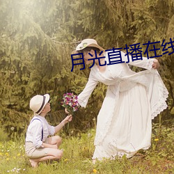 月光直播(bō)在线(xiàn)观(guān)看(kàn)