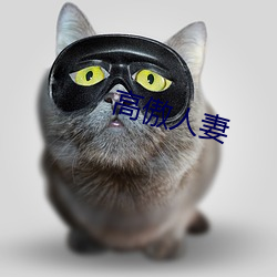 高傲人妻