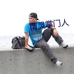 精灵掌门人