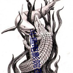 斗鱼电(電)影(影)院(院)在线观看(看)