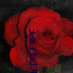 vwinӮ(й) - ٷվ