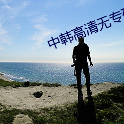 中韩高清无专砖区2021免费版下载 （过江之鲫）