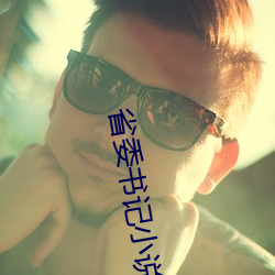 省委書記小說