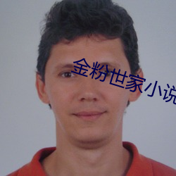 金粉(粉)世家小说