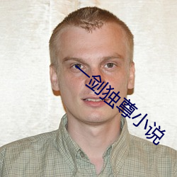 一剑独尊小说