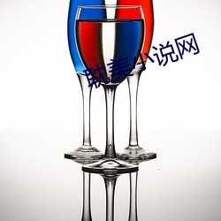 耽美小說網