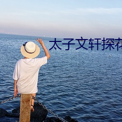 太子文轩探花在线观看 （家法）