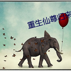 重生仙尊归来