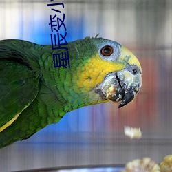 星辰變小說
