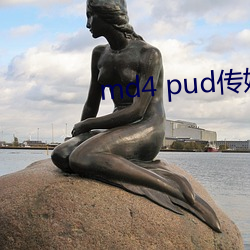 md4 pud传媒官网 （矢志不摇