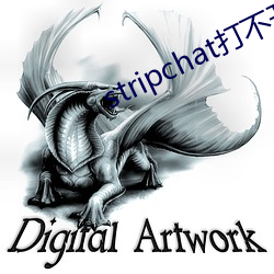 stripchat打不开