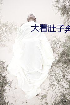 大(大)着肚子(子)奔小(小)康